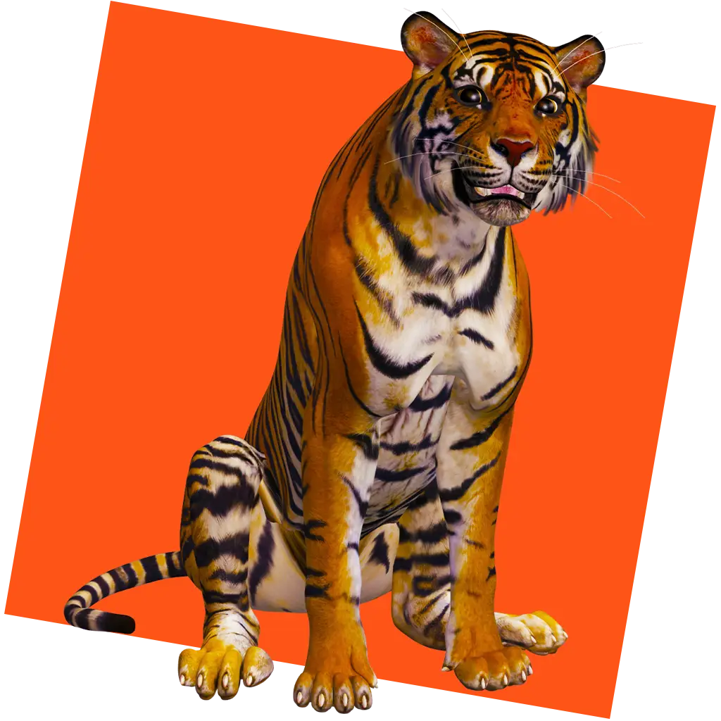 A realistic tiger sits facing forward against a tilted bright orange square background, evoking the majestic presence of a Wild Temple guardian.